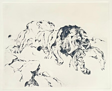 "Löwen mit Beute" Radierung