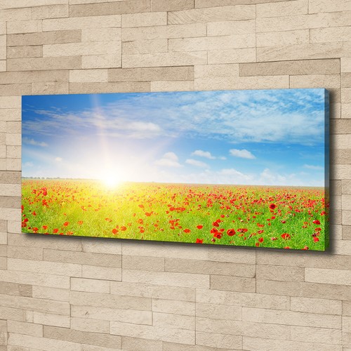 Leinwandbild kunst druck - leinwandbild, kunst-druck