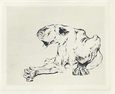 "Löwin" Radierung, Kurt