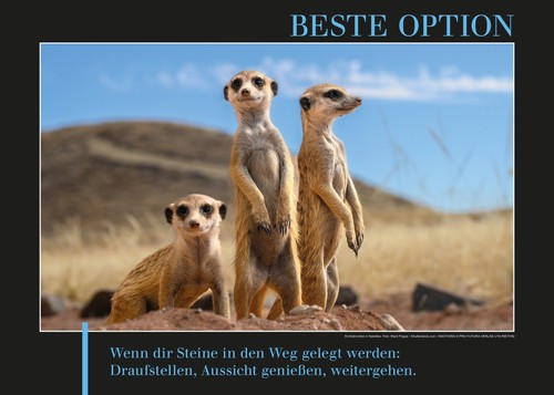 Beste option motivation - option,