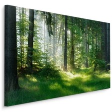 Leinwand Bild CANVAS WANDBILD