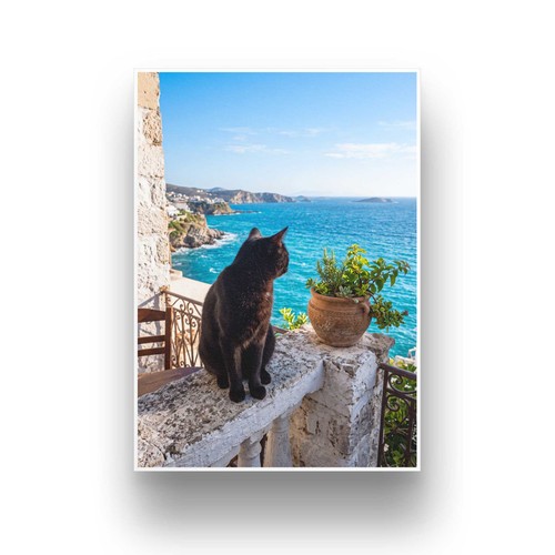 Katze meer kunstdruck - katze,