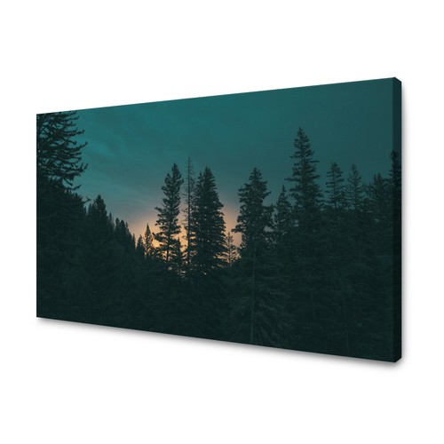 Canvas leinwandbilder bilder - leinwandbilder,