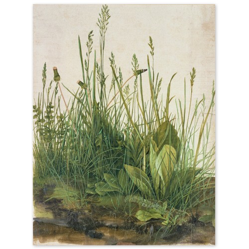 Albrecht dürer das große - das,