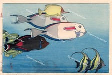 Hiroshi Yoshida Japan Hawaii